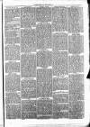 Clare Advertiser and Kilrush Gazette Saturday 29 January 1870 Page 5