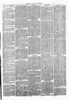 Clare Advertiser and Kilrush Gazette Saturday 12 February 1870 Page 3