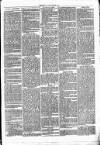 Clare Advertiser and Kilrush Gazette Saturday 26 February 1870 Page 3