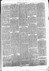 Clare Advertiser and Kilrush Gazette Saturday 26 February 1870 Page 5