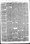 Clare Advertiser and Kilrush Gazette Saturday 05 March 1870 Page 3