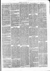 Clare Advertiser and Kilrush Gazette Saturday 12 March 1870 Page 3