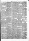 Clare Advertiser and Kilrush Gazette Saturday 12 March 1870 Page 5
