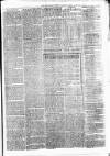 Clare Advertiser and Kilrush Gazette Saturday 12 March 1870 Page 7