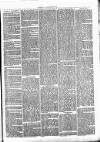 Clare Advertiser and Kilrush Gazette Saturday 19 March 1870 Page 3
