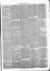 Clare Advertiser and Kilrush Gazette Saturday 19 March 1870 Page 5