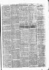Clare Advertiser and Kilrush Gazette Saturday 19 March 1870 Page 7