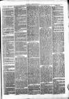 Clare Advertiser and Kilrush Gazette Saturday 26 March 1870 Page 3
