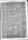 Clare Advertiser and Kilrush Gazette Saturday 26 March 1870 Page 5