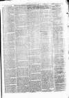Clare Advertiser and Kilrush Gazette Saturday 26 March 1870 Page 7
