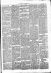 Clare Advertiser and Kilrush Gazette Saturday 02 April 1870 Page 5