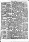 Clare Advertiser and Kilrush Gazette Saturday 09 April 1870 Page 3