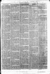 Clare Advertiser and Kilrush Gazette Saturday 09 April 1870 Page 7