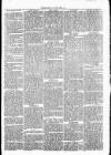 Clare Advertiser and Kilrush Gazette Saturday 14 May 1870 Page 5