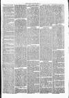 Clare Advertiser and Kilrush Gazette Saturday 21 May 1870 Page 5