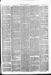 Clare Advertiser and Kilrush Gazette Saturday 11 June 1870 Page 3