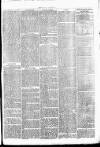 Clare Advertiser and Kilrush Gazette Saturday 11 June 1870 Page 7