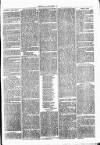 Clare Advertiser and Kilrush Gazette Saturday 18 June 1870 Page 3