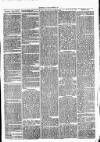 Clare Advertiser and Kilrush Gazette Saturday 25 June 1870 Page 3