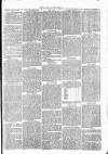 Clare Advertiser and Kilrush Gazette Saturday 25 June 1870 Page 5
