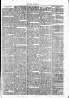 Clare Advertiser and Kilrush Gazette Saturday 25 June 1870 Page 7