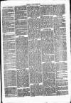 Clare Advertiser and Kilrush Gazette Saturday 16 July 1870 Page 3