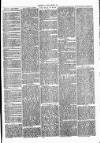 Clare Advertiser and Kilrush Gazette Saturday 30 July 1870 Page 3