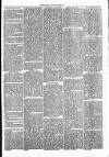 Clare Advertiser and Kilrush Gazette Saturday 30 July 1870 Page 5