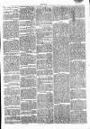 Clare Advertiser and Kilrush Gazette Saturday 13 August 1870 Page 3