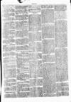 Clare Advertiser and Kilrush Gazette Saturday 03 September 1870 Page 3