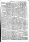 Clare Advertiser and Kilrush Gazette Saturday 03 September 1870 Page 5