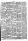 Clare Advertiser and Kilrush Gazette Saturday 17 September 1870 Page 3