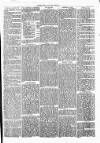 Clare Advertiser and Kilrush Gazette Saturday 29 October 1870 Page 5