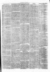 Clare Advertiser and Kilrush Gazette Saturday 29 October 1870 Page 7