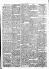 Clare Advertiser and Kilrush Gazette Saturday 19 November 1870 Page 6