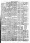 Clare Advertiser and Kilrush Gazette Saturday 26 November 1870 Page 5