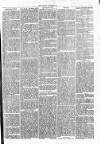 Clare Advertiser and Kilrush Gazette Saturday 26 November 1870 Page 7