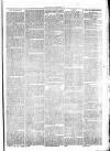 Clare Advertiser and Kilrush Gazette Saturday 07 January 1871 Page 7