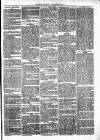 Clare Advertiser and Kilrush Gazette Saturday 25 February 1871 Page 3