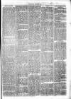 Clare Advertiser and Kilrush Gazette Saturday 25 February 1871 Page 7