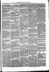 Clare Advertiser and Kilrush Gazette Saturday 11 March 1871 Page 3