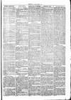 Clare Advertiser and Kilrush Gazette Saturday 18 March 1871 Page 3