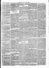 Clare Advertiser and Kilrush Gazette Saturday 06 May 1871 Page 3