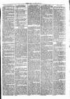 Clare Advertiser and Kilrush Gazette Saturday 06 May 1871 Page 5