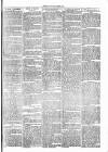 Clare Advertiser and Kilrush Gazette Saturday 10 June 1871 Page 3