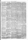 Clare Advertiser and Kilrush Gazette Saturday 17 June 1871 Page 3