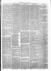 Clare Advertiser and Kilrush Gazette Saturday 17 June 1871 Page 5