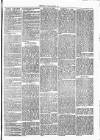 Clare Advertiser and Kilrush Gazette Saturday 19 August 1871 Page 3