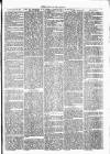 Clare Advertiser and Kilrush Gazette Saturday 19 August 1871 Page 5