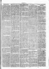 Clare Advertiser and Kilrush Gazette Saturday 19 August 1871 Page 7